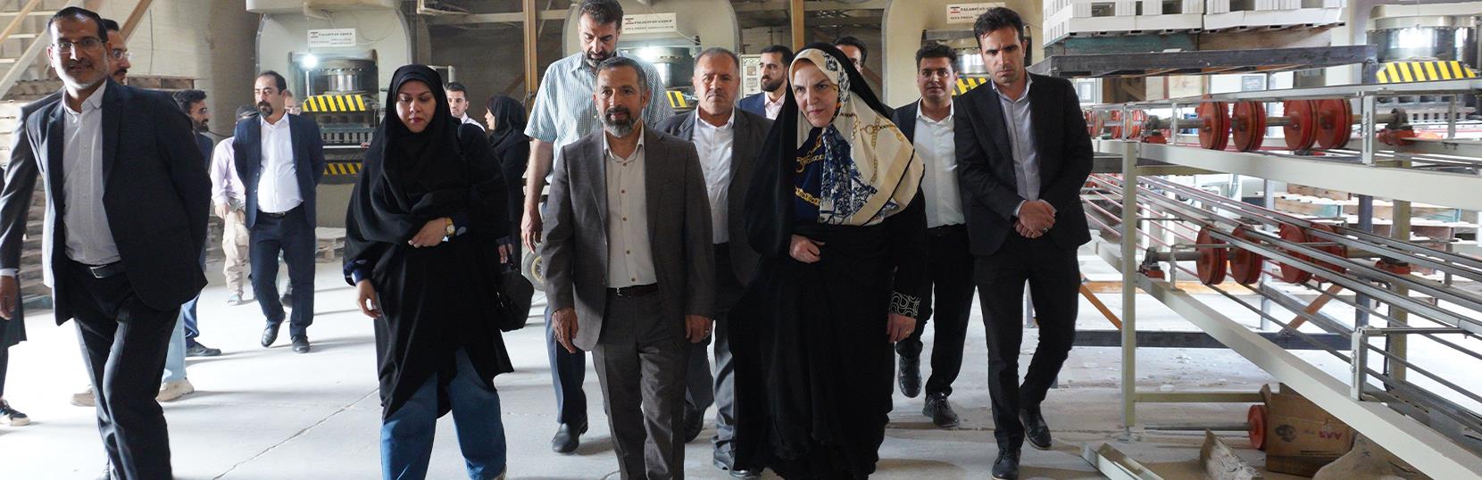  بازدید رسمی مشاور اقتصادی ریاست‌جمهوری از مجموعه کارخانجات آذرشین