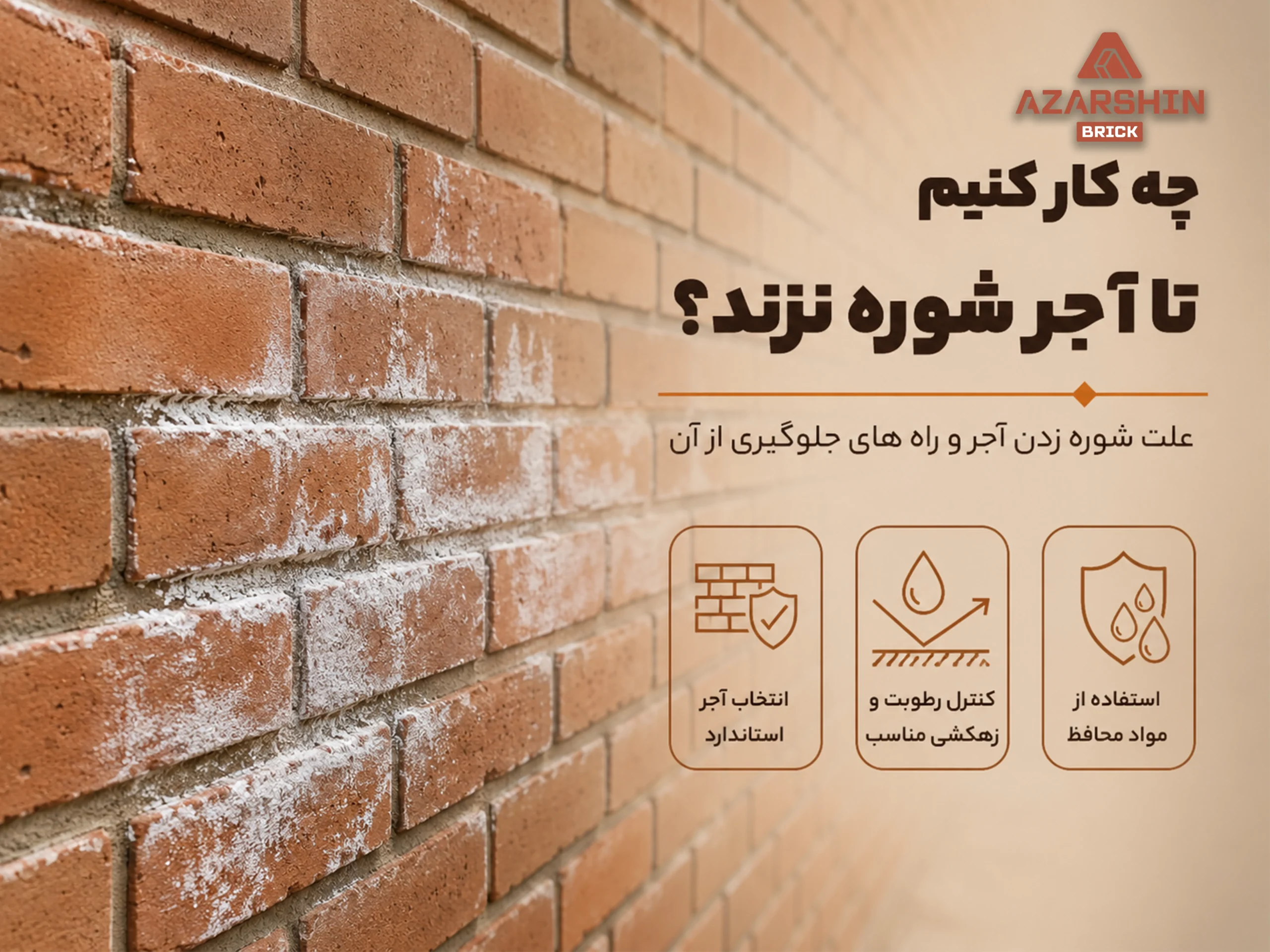 چه کار کنیم تا اجر شوره نزند